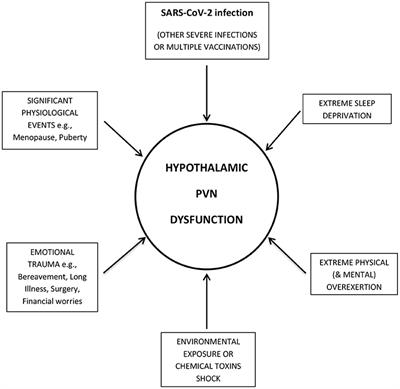 A Paradigm for Post-Covid-19 Fatigue Syndrome Analogous to ME/CFS